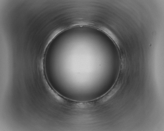 X0000112080906200908041251