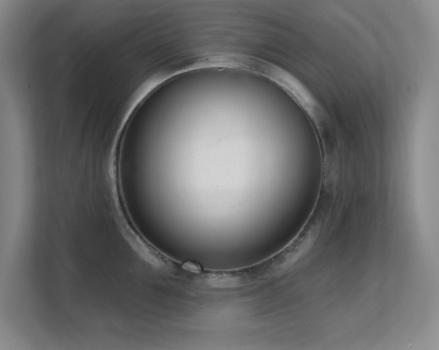 X0000112080907200908041251