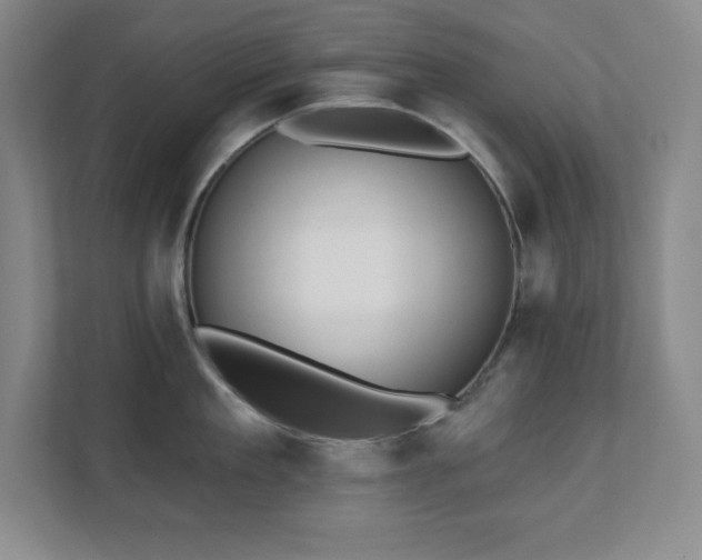 X0000112080909200908041251