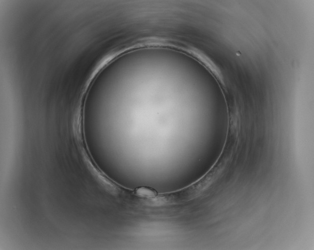 X0000112080911200908041251