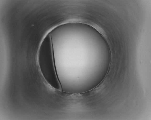 X0000112080912200908041251