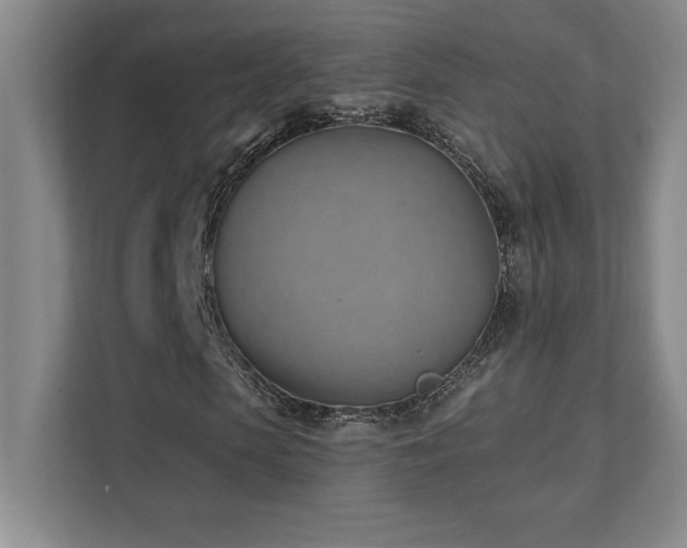 X0000112080913200908041251