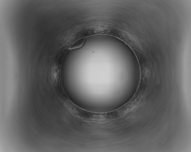 X0000112080914200908041251