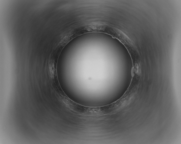X0000112080915200908041251