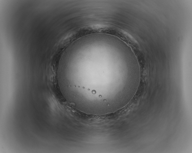 X0000112080917200908041251
