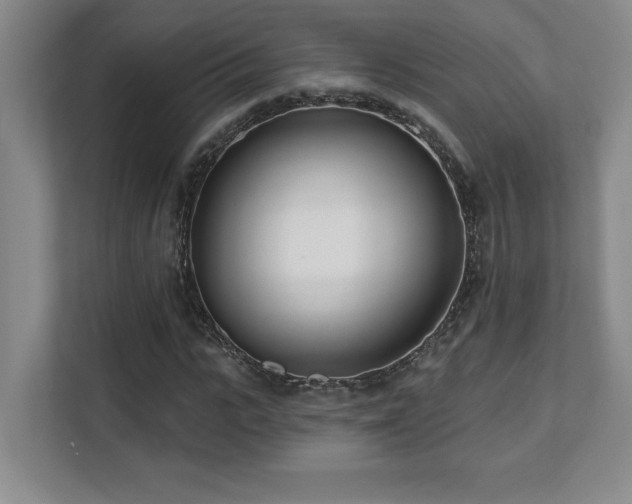 X0000112080919200908041251