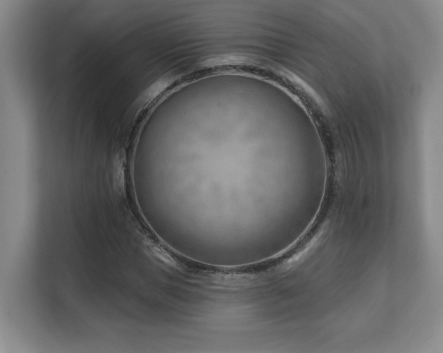 X0000112080921200908041251