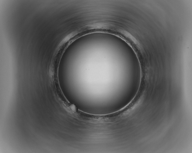 X0000112080922200908041251