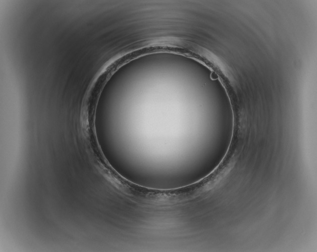 X0000112080923200908041251