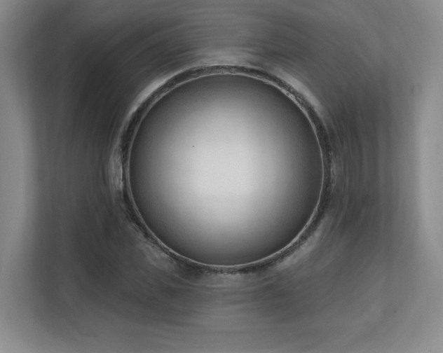 X0000112080925200908041251
