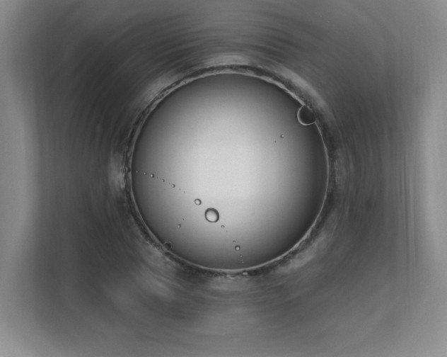 X0000112080929200908041251