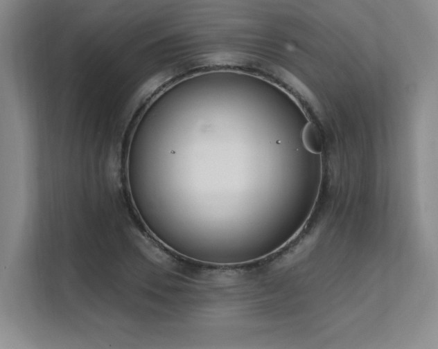 X0000112080930200908041251