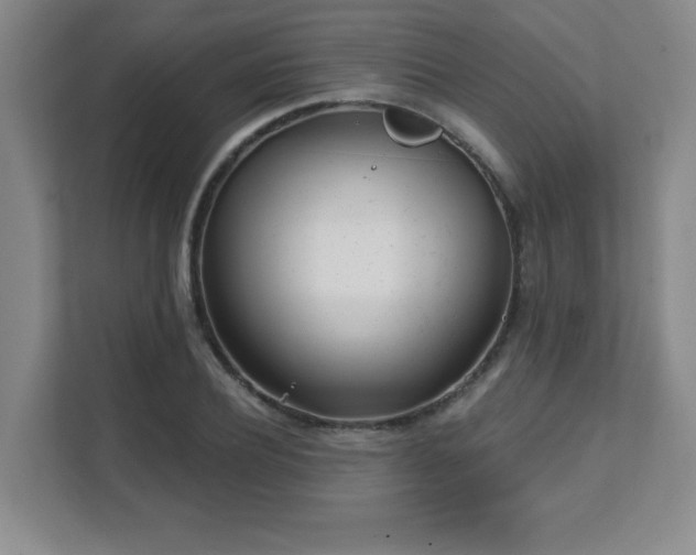 X0000112080932200908041251