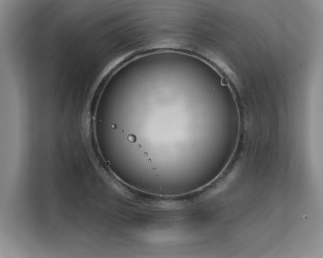 X0000112080933200908041251