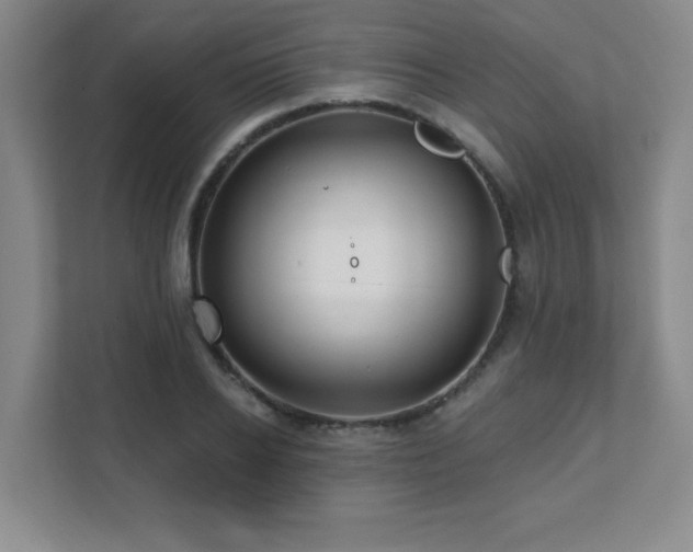 X0000112080934200908041251