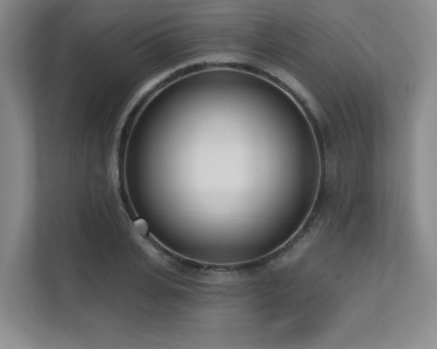 X0000112080935200908041251