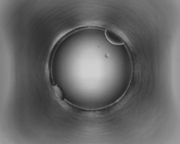 X0000112080936200908041251