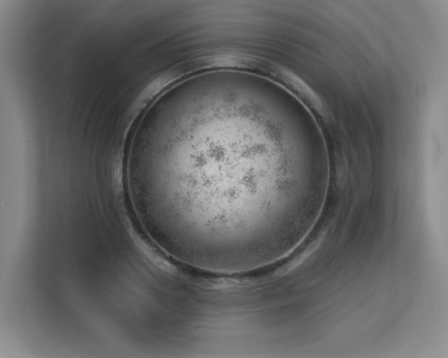 X0000112080938200908041251