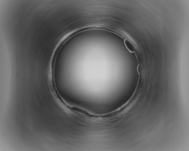 X0000112080940200908041251