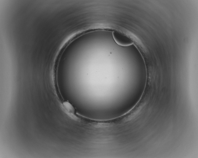 X0000112080942200908041251