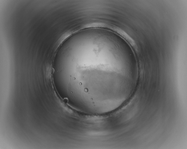 X0000112080945200908041251