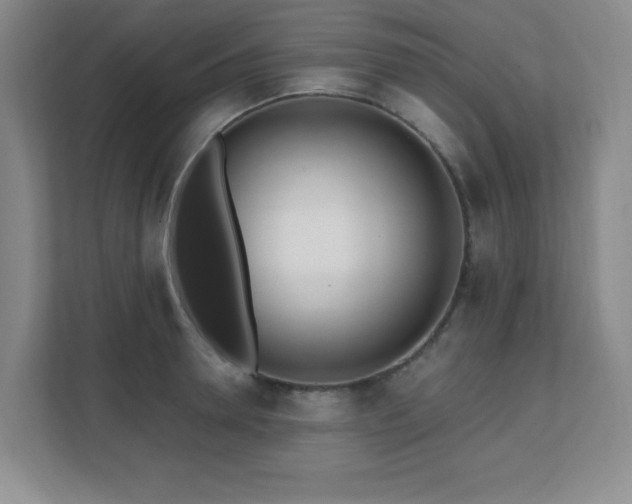 X0000112080946200908041251