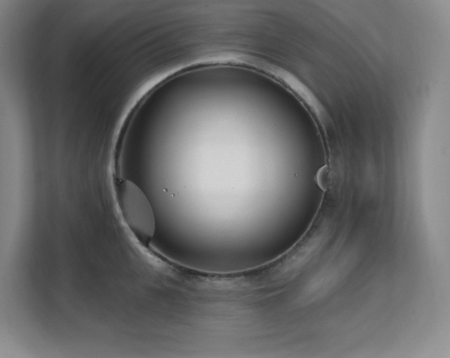 X0000112080951200908041251