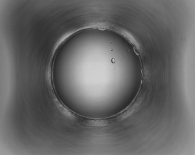 X0000112080952200908041251