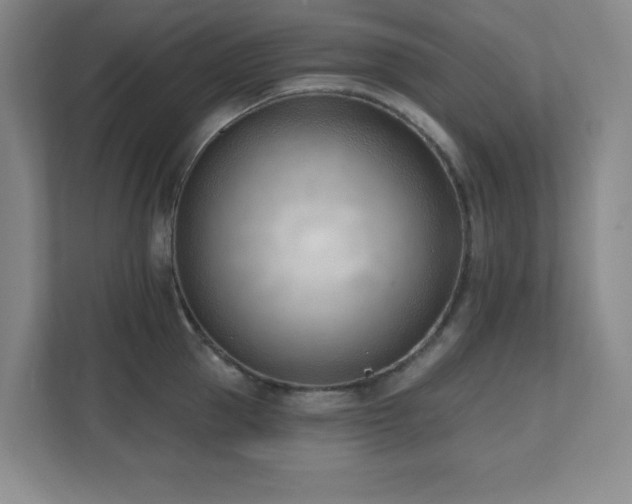 X0000112080953200908041251