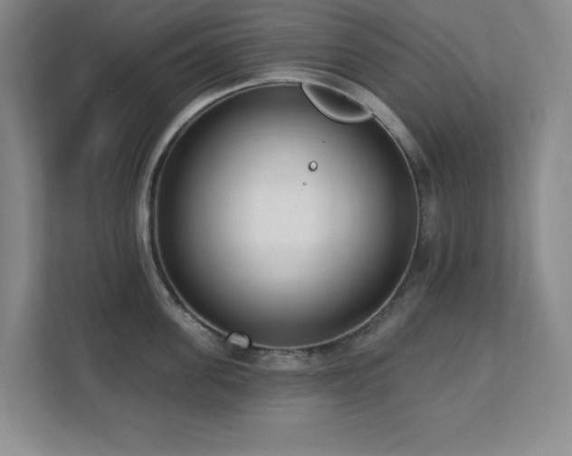 X0000112080955200908041251