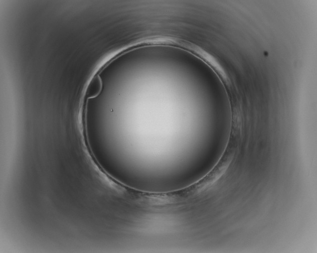X0000112080959200908041251