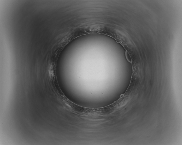 X0000112080962200908041251
