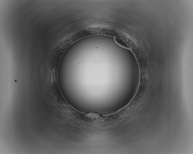 X0000112080965200908041251