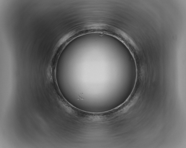 X0000112080970200908041250