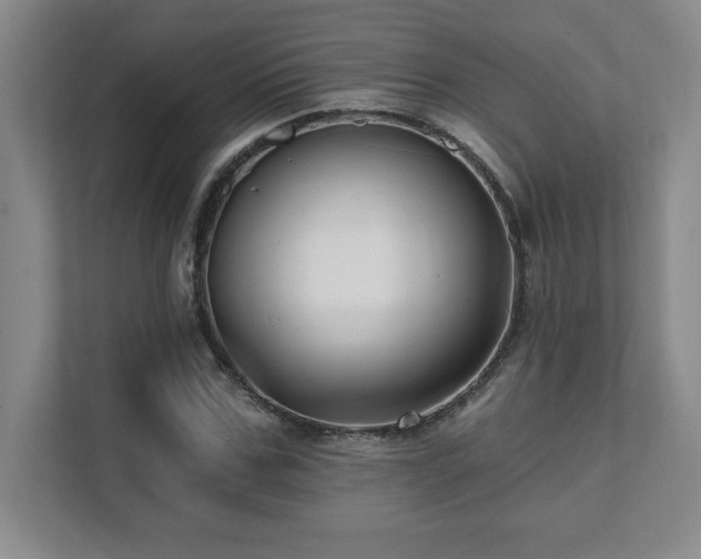 X0000112080971200908041250