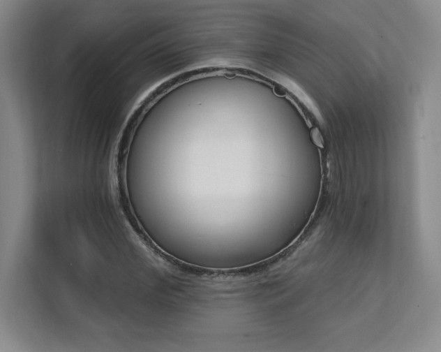X0000112080972200908041250
