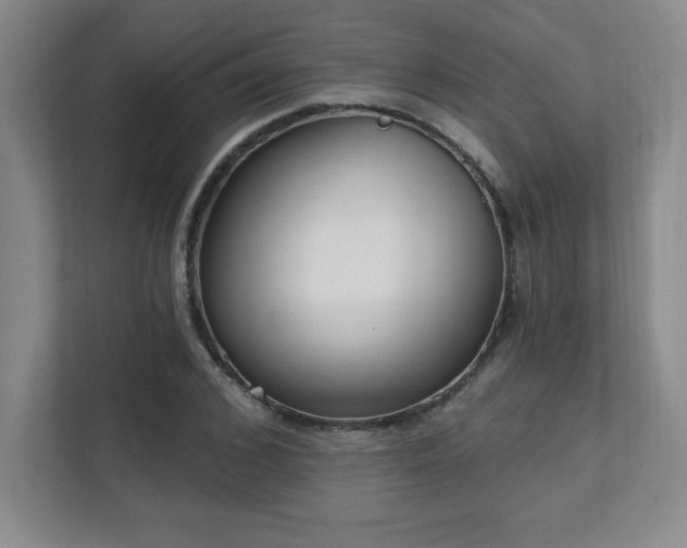 X0000112080976200908041250