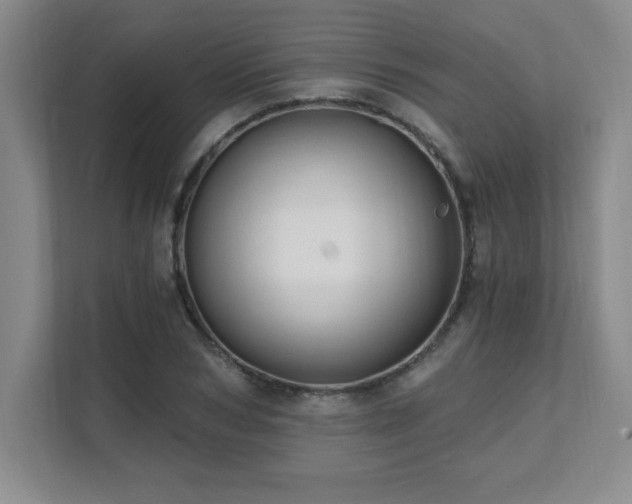 X0000112080978200908041250