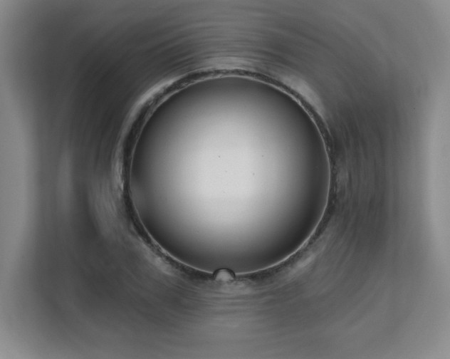 X0000112080979200908041250