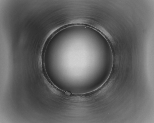 X0000112080980200908041250