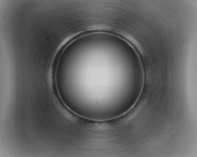 X0000112080983200908041250