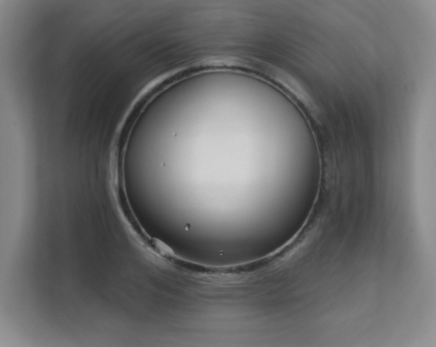 X0000112080984200908041250