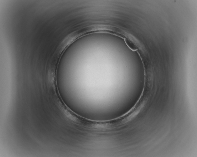 X0000112080985200908041250