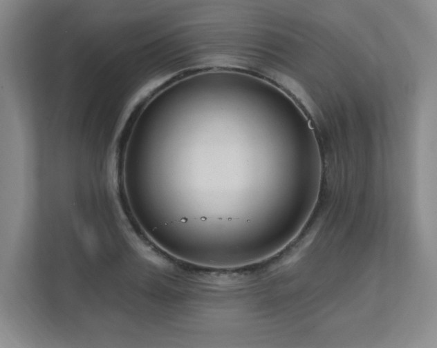 X0000112080987200908041250