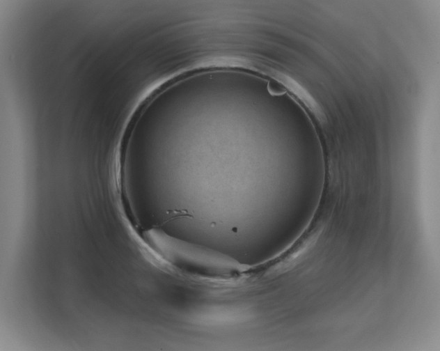 X0000112080988200908041250