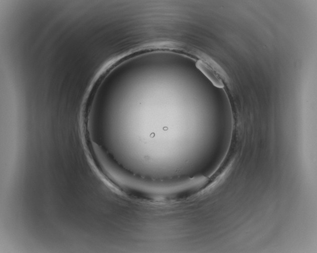 X0000112080989200908041250