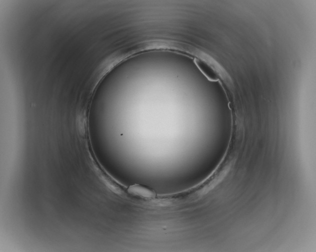 X0000112080993200908041250