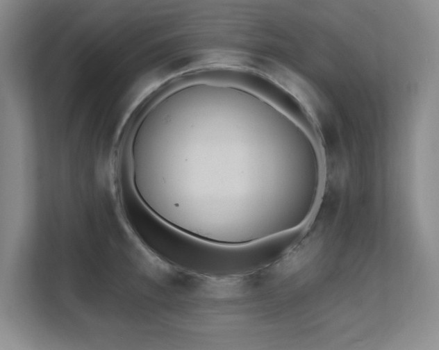 X0000112080997200908041250