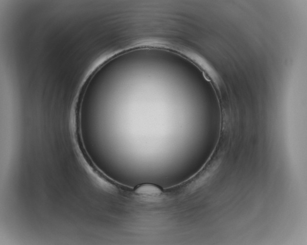 X0000112080999200908041250