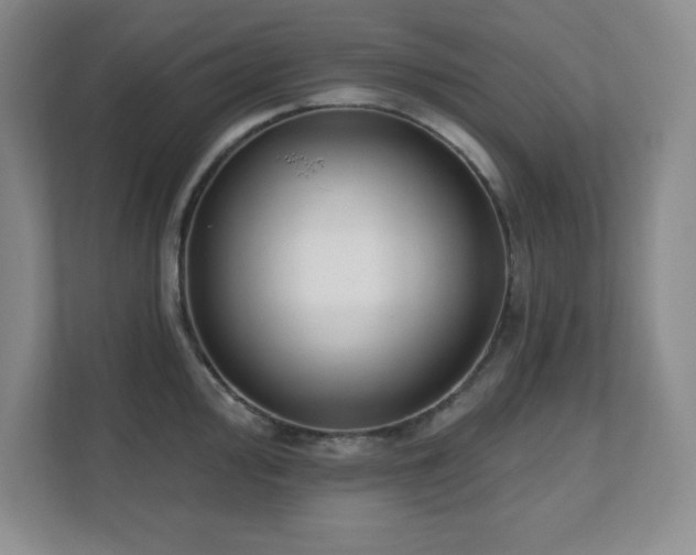 X0000112081000200908041250